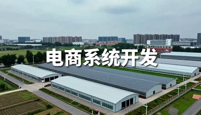 网络工程资讯发展促进电商系统开发市场增长